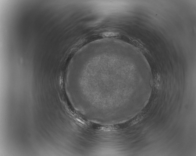 X0000071800763200607150146