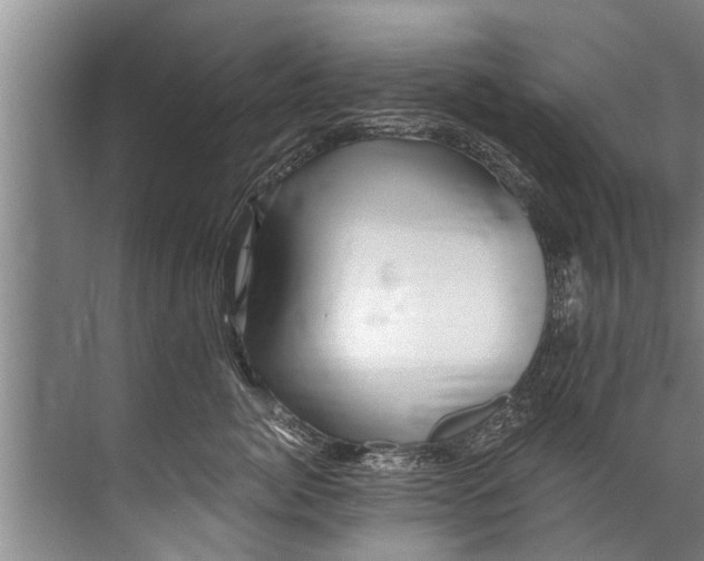 X0000071800764200607150146