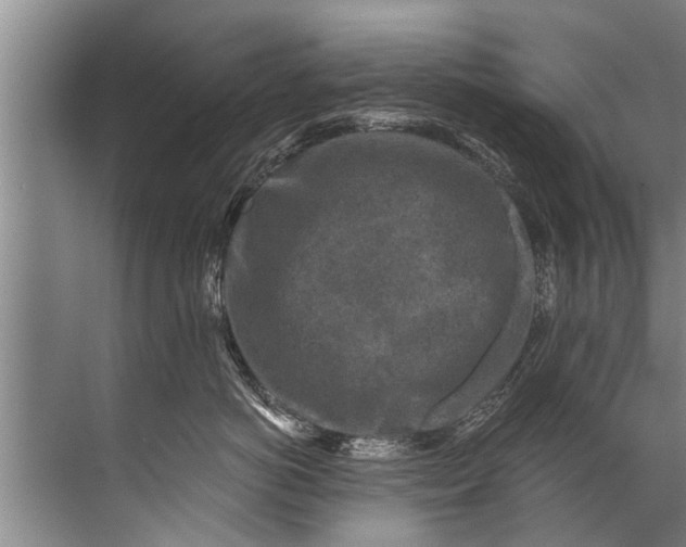 X0000071800766200607150146