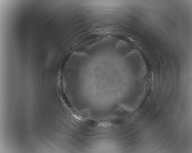 X0000071800767200607150146