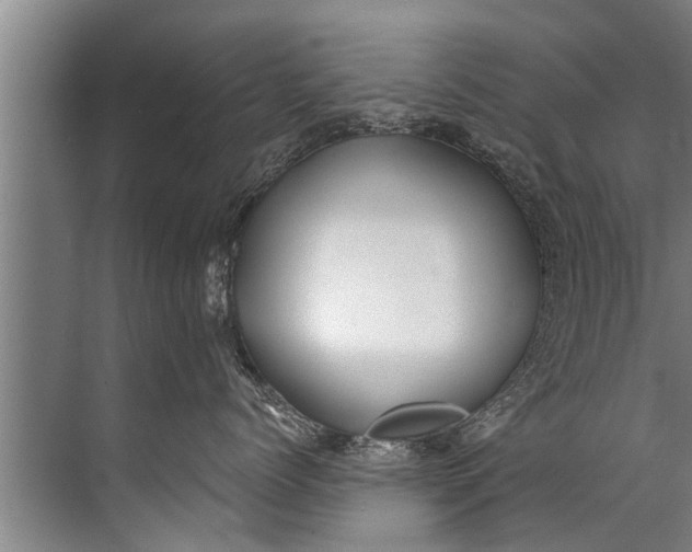 X0000071800768200607150146