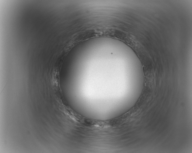 X0000071800770200607150146