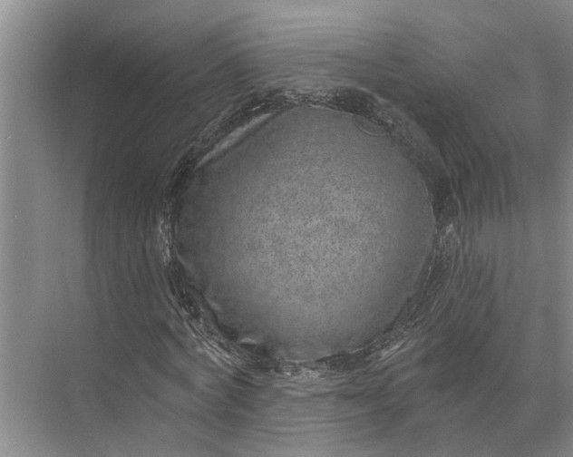 X0000071800772200607150146