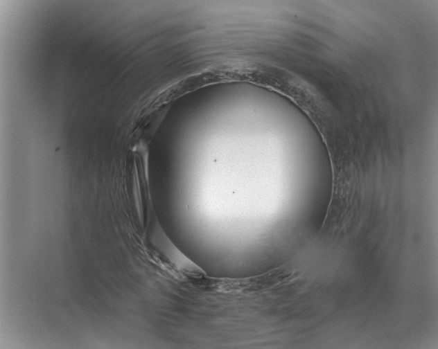 X0000071800773200607150146