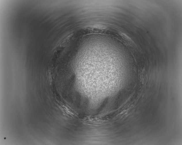 X0000071800774200607150146