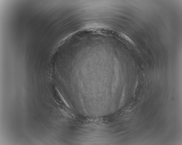 X0000071800775200607150146