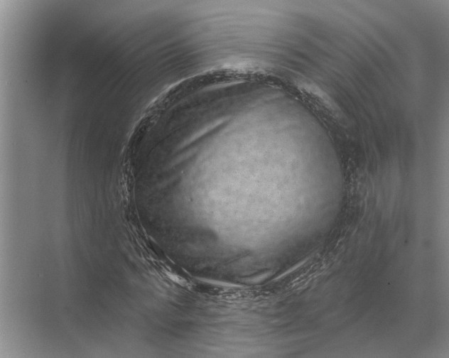 X0000071800776200607150145