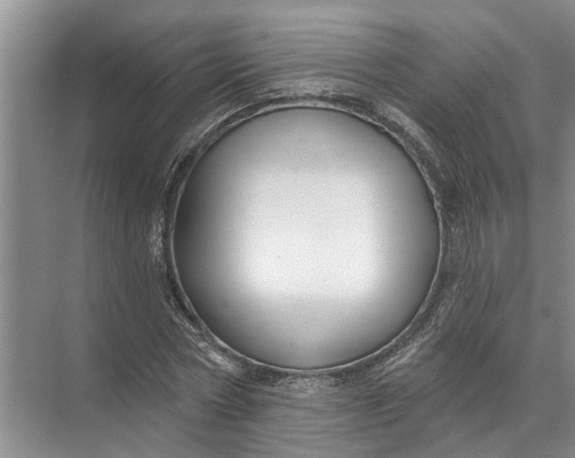 X0000071800778200607150145