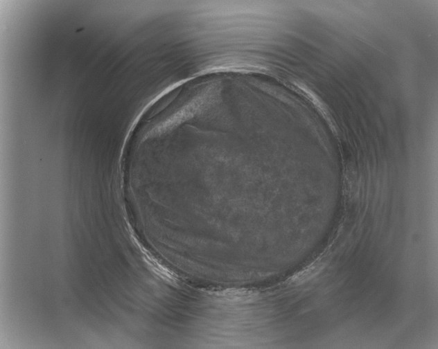 X0000071800779200607150145