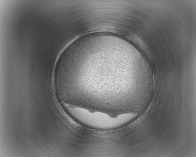 X0000071800780200607150145