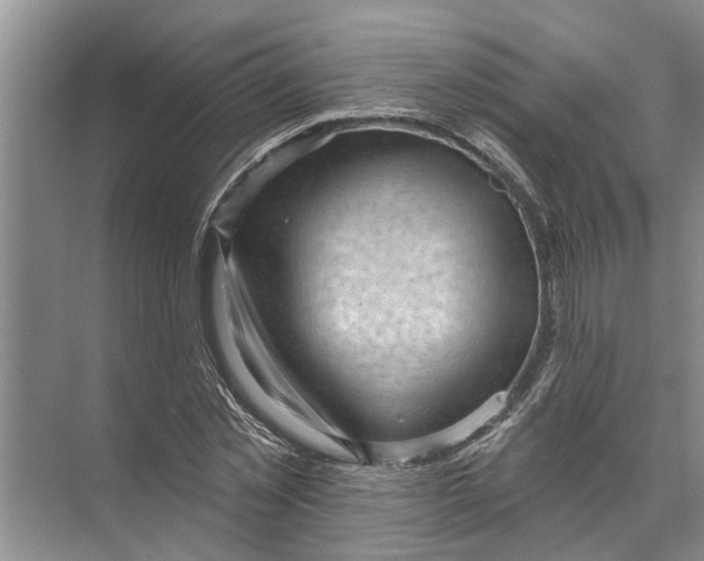 X0000071800781200607150145