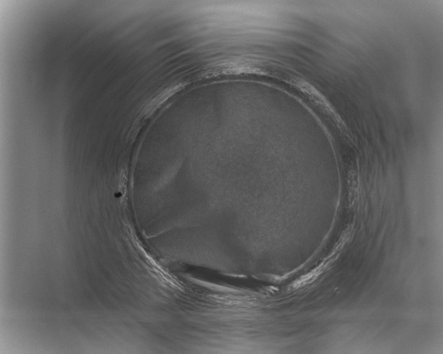 X0000071800785200607150145