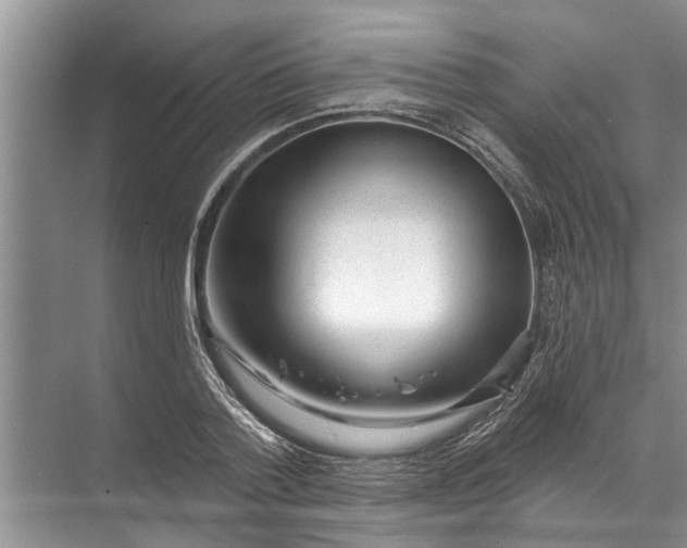 X0000071800788200607150145