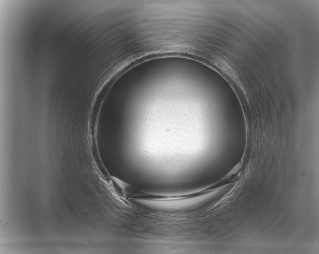 X0000071800789200607150145