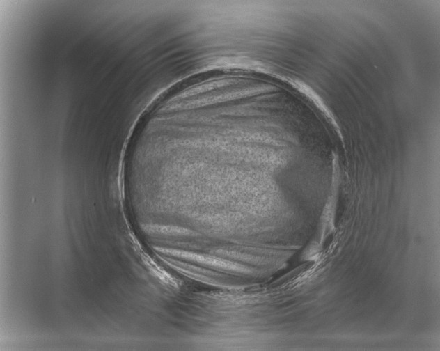 X0000071800791200607150145