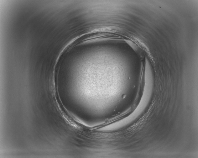 X0000071800792200607150145