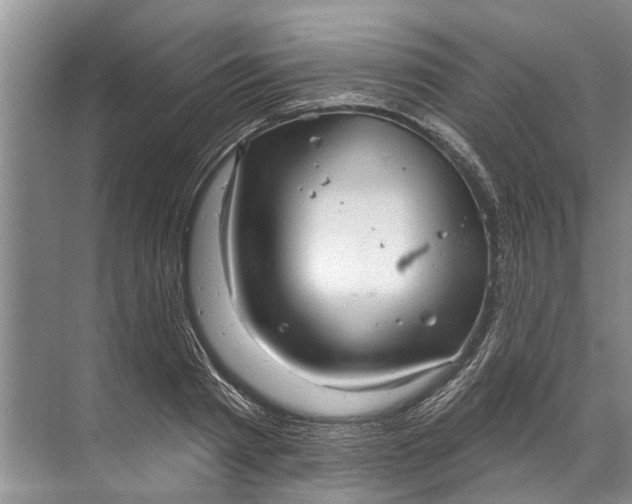 X0000071800793200607150145