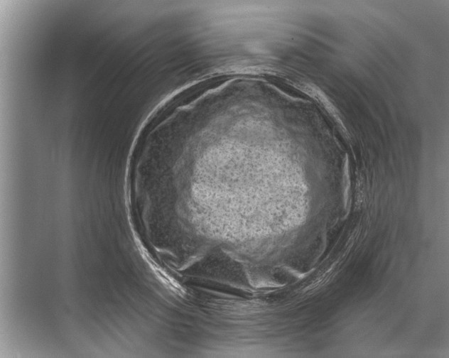 X0000071800795200607150145