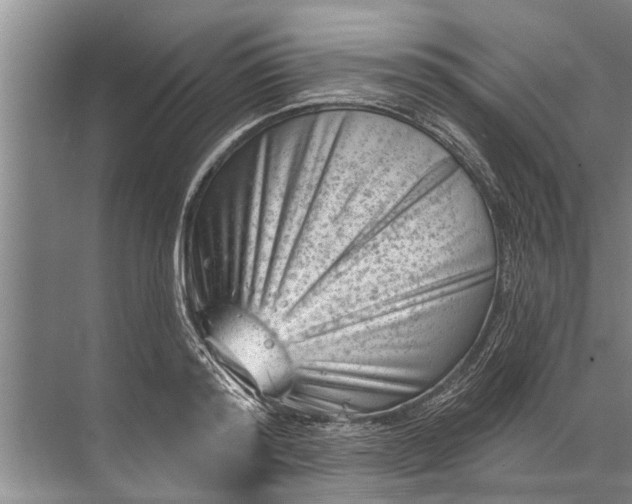 X0000071800796200607150145