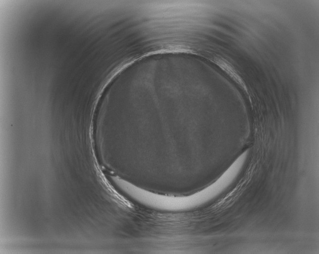 X0000071800797200607150145