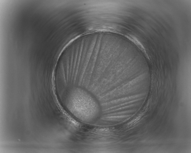 X0000071800798200607150145