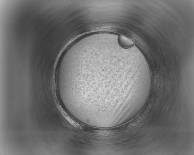 X0000071800800200607150145