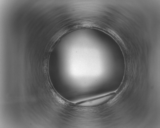 X0000071800801200607150145