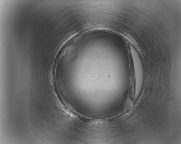 X0000071800806200607150145