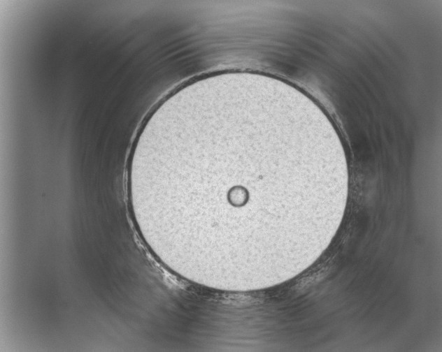 X0000071800807200607150145