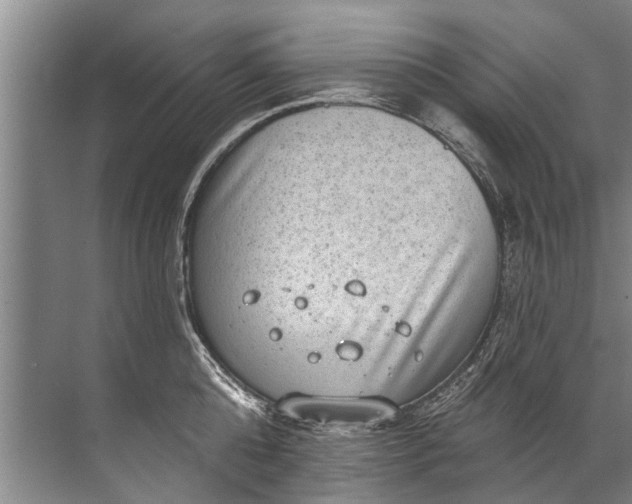 X0000071800808200607150145