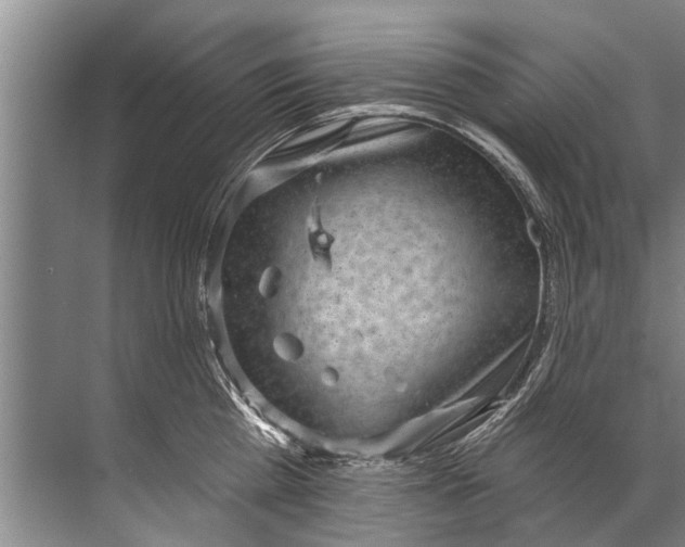 X0000071800809200607150145