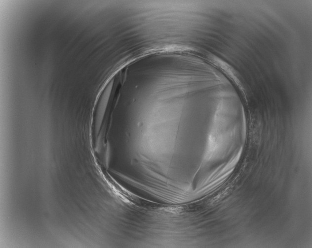 X0000071800810200607150145