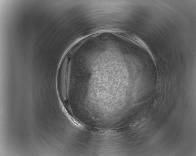 X0000071800811200607150145