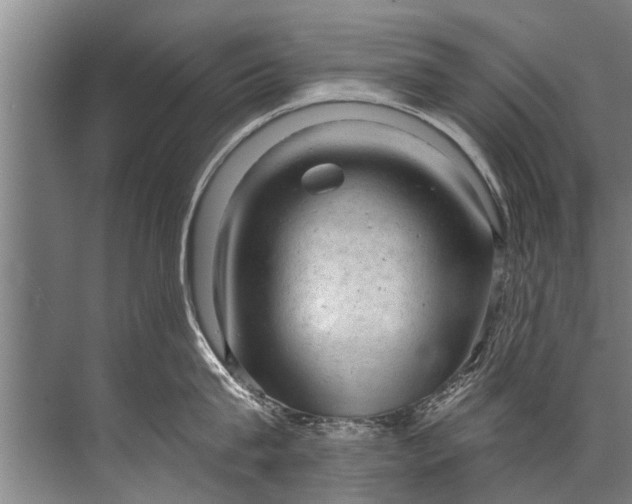 X0000071800815200607150145