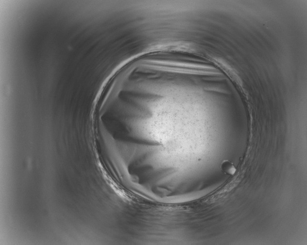 X0000071800816200607150145