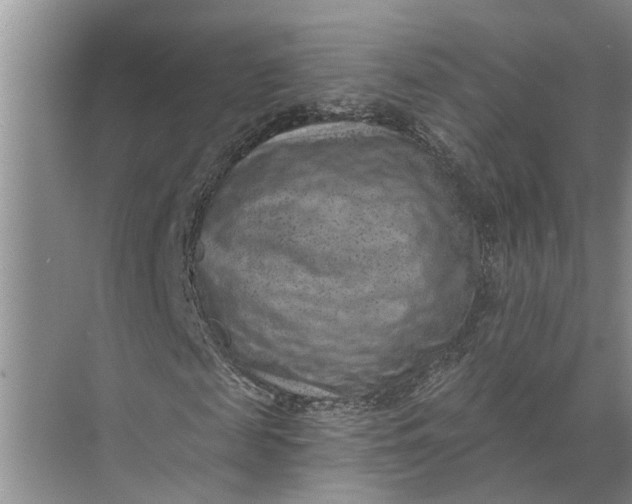 X0000071800817200607150144