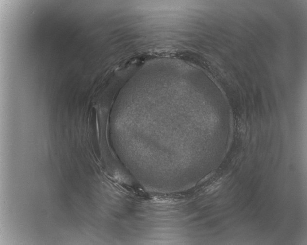 X0000071800818200607150144