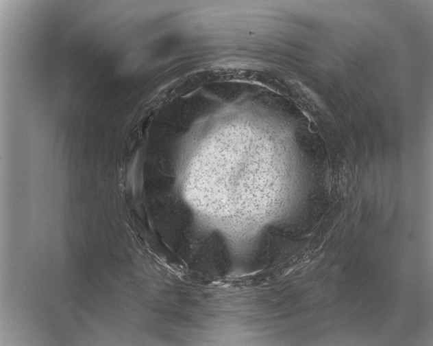 X0000071800821200607150144