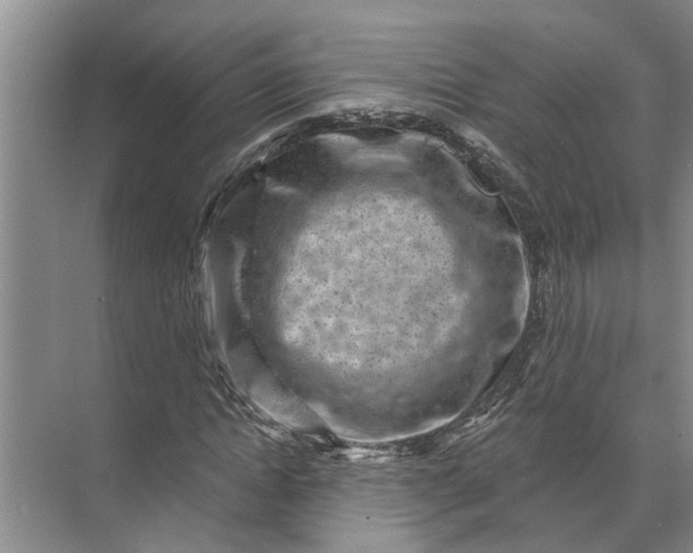 X0000071800822200607150144