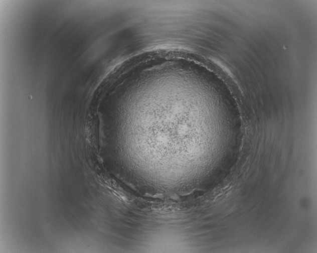 X0000071800823200607150144