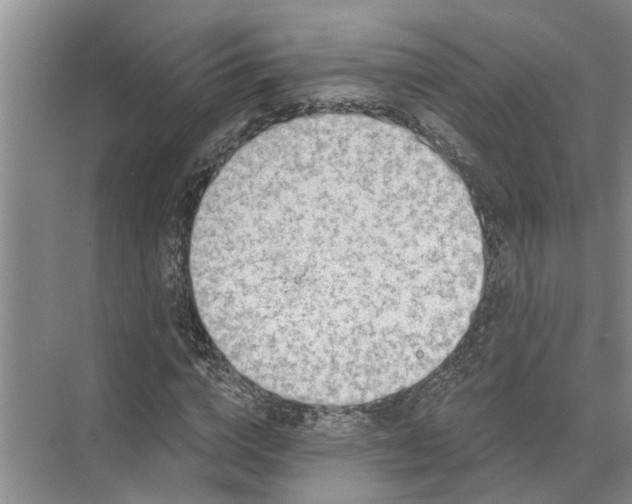 X0000071800824200607150144