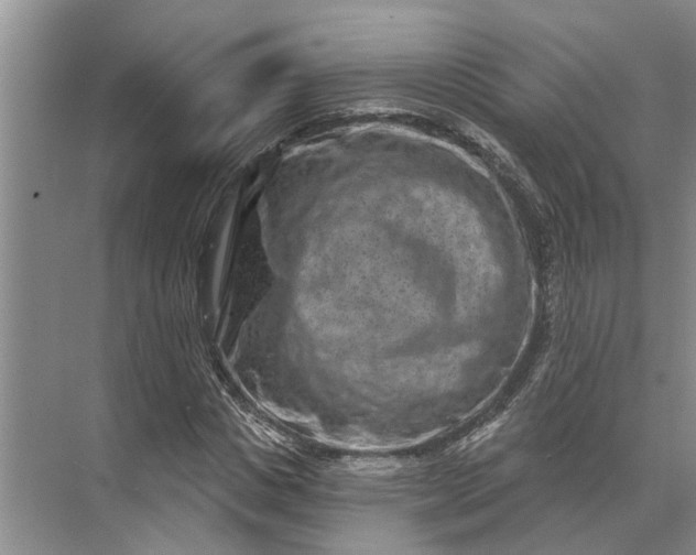 X0000071800825200607150144