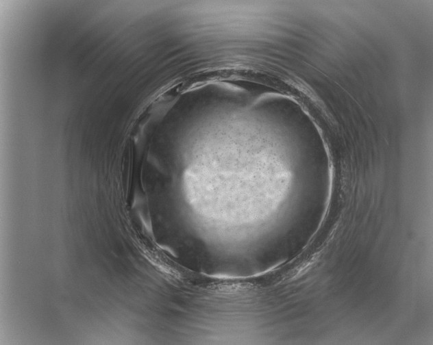 X0000071800826200607150144