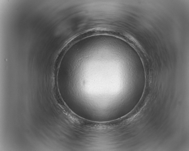 X0000071800829200607150144