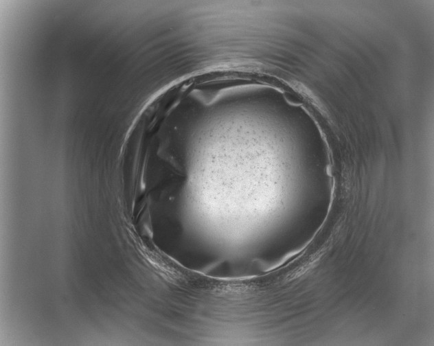 X0000071800830200607150144