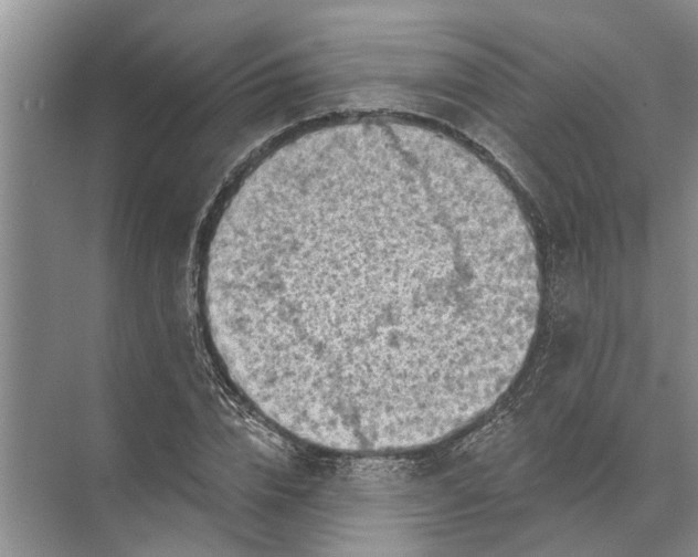 X0000071800832200607150144