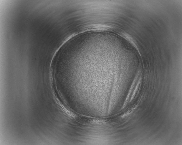 X0000071800835200607150144