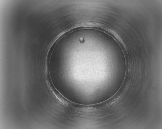 X0000071800837200607150144