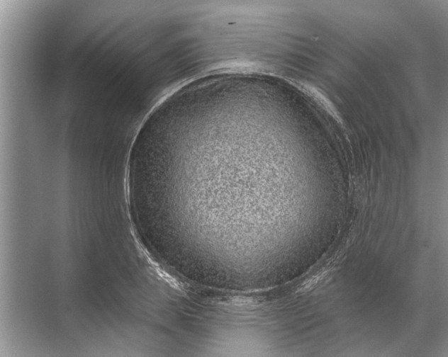 X0000071800839200607150144