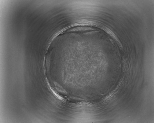 X0000071800842200607150144